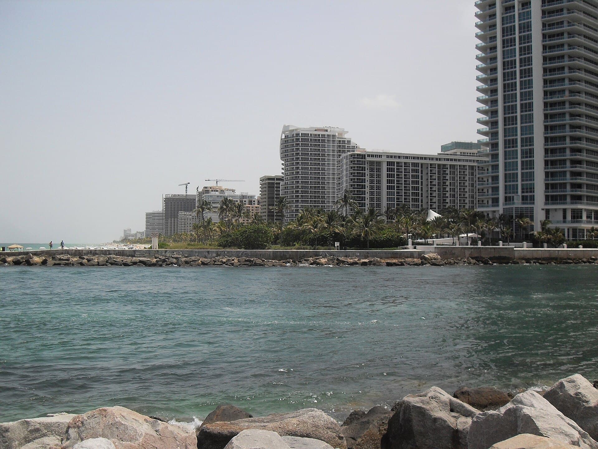 Haulover Park greenery across the inlet from Bal Harbour
